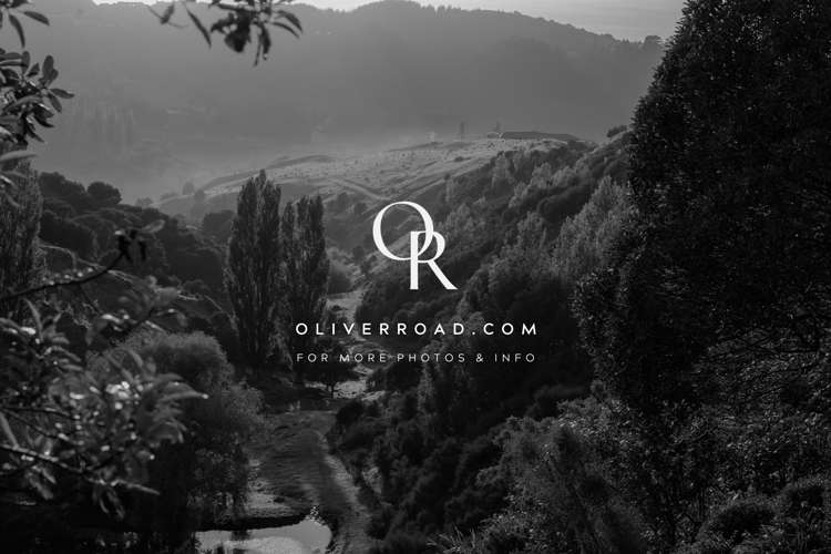 185 Eskridge Drive Eskdale_19