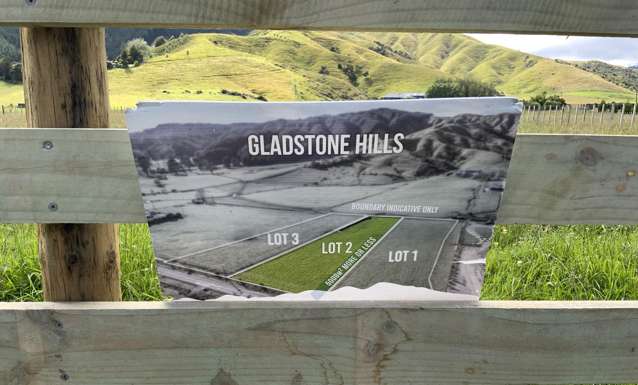 167 Gladstone Road Levin_3