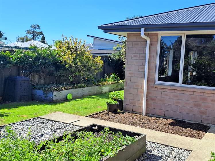 9 Disraeli Street Westport_14