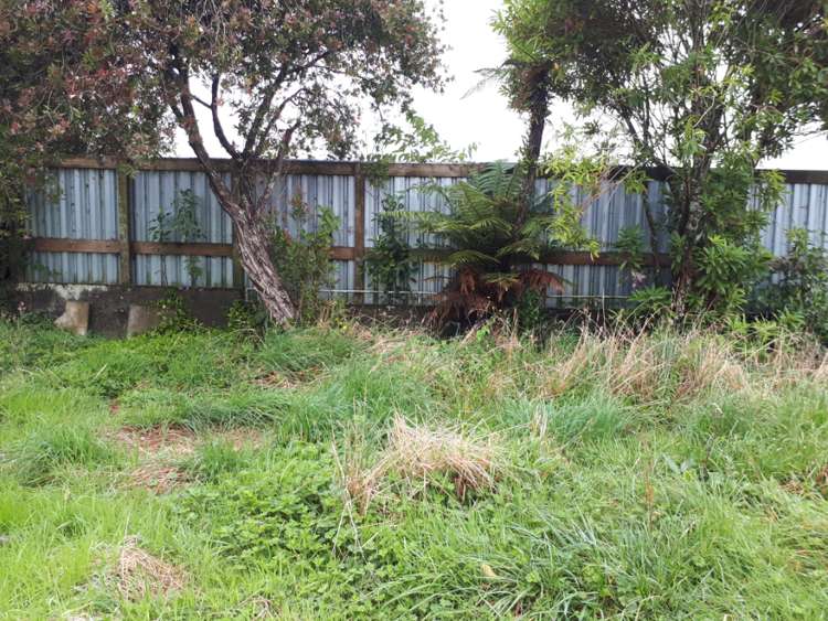 211 Surrey Road Tariki_13