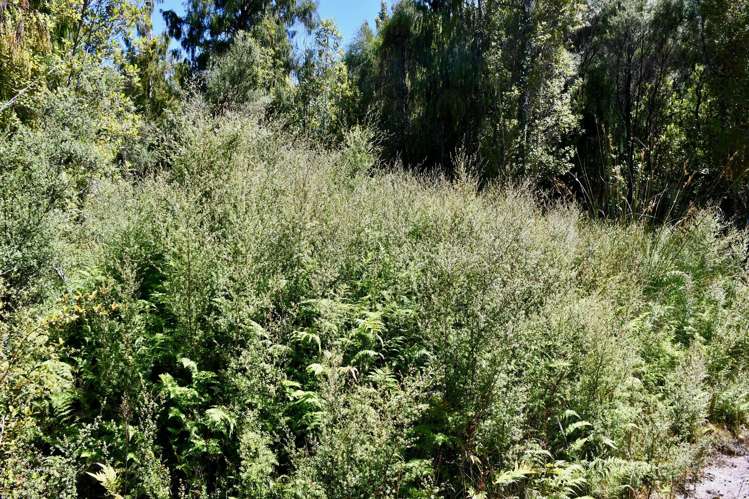 Lot 8 Sunset Heights Road Karamea_12