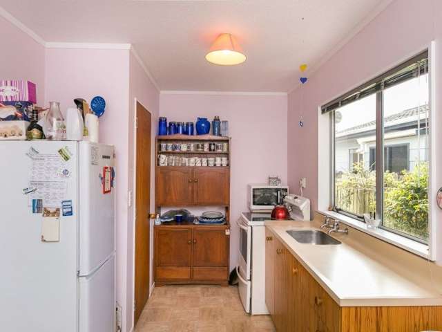 24a Plunket Avenue Petone_2