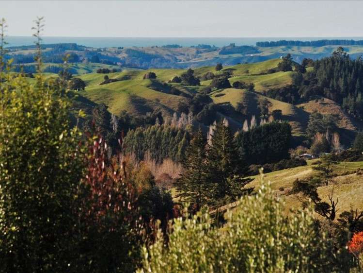 680 Neudorf Road Upper Moutere_23