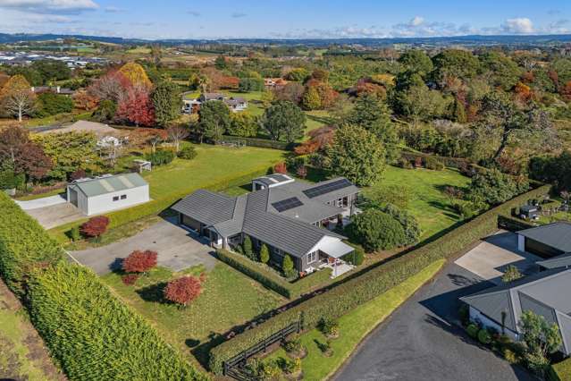 8b Astelia Drive Omokoroa_1