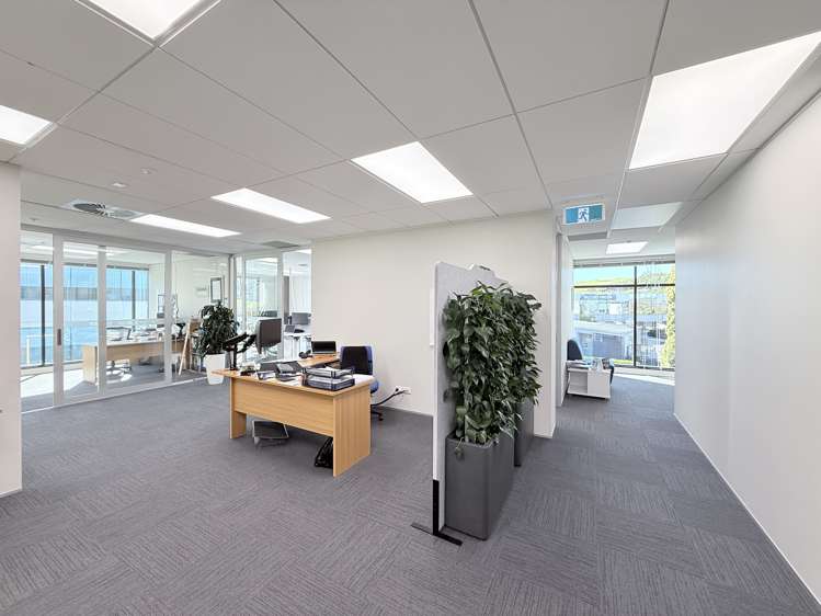 42 Tawa Drive Albany_15