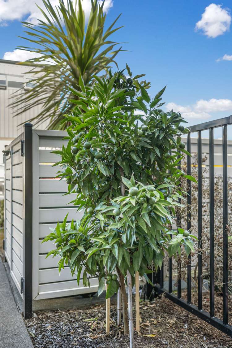 16 Rorida Lane Flat Bush_19