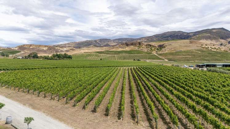 182B Felton Road Bannockburn_25