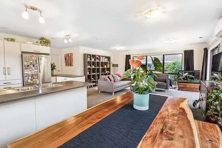 88 Tihi Road Springfield_9