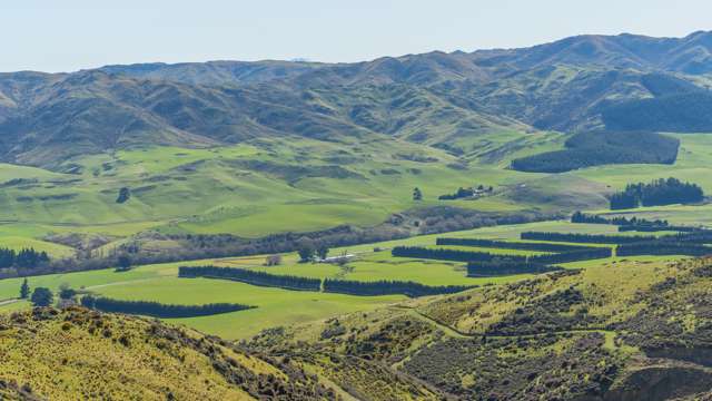 554 Waikari Valley Road Waikari_3