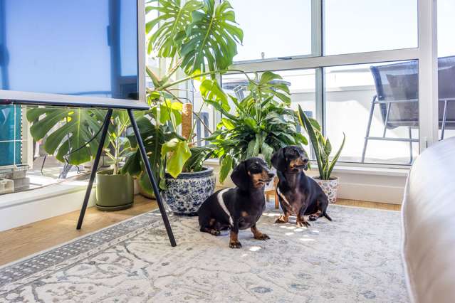 12D/4-8 Short Street Auckland Central_4