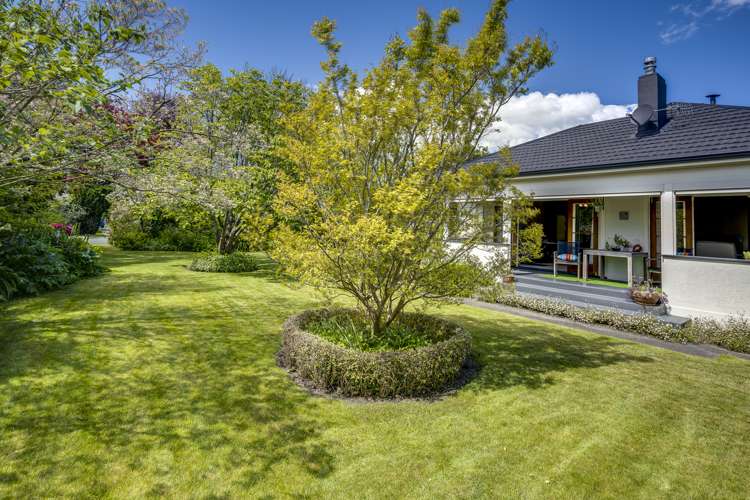 1000 Rata Street Mahora_15