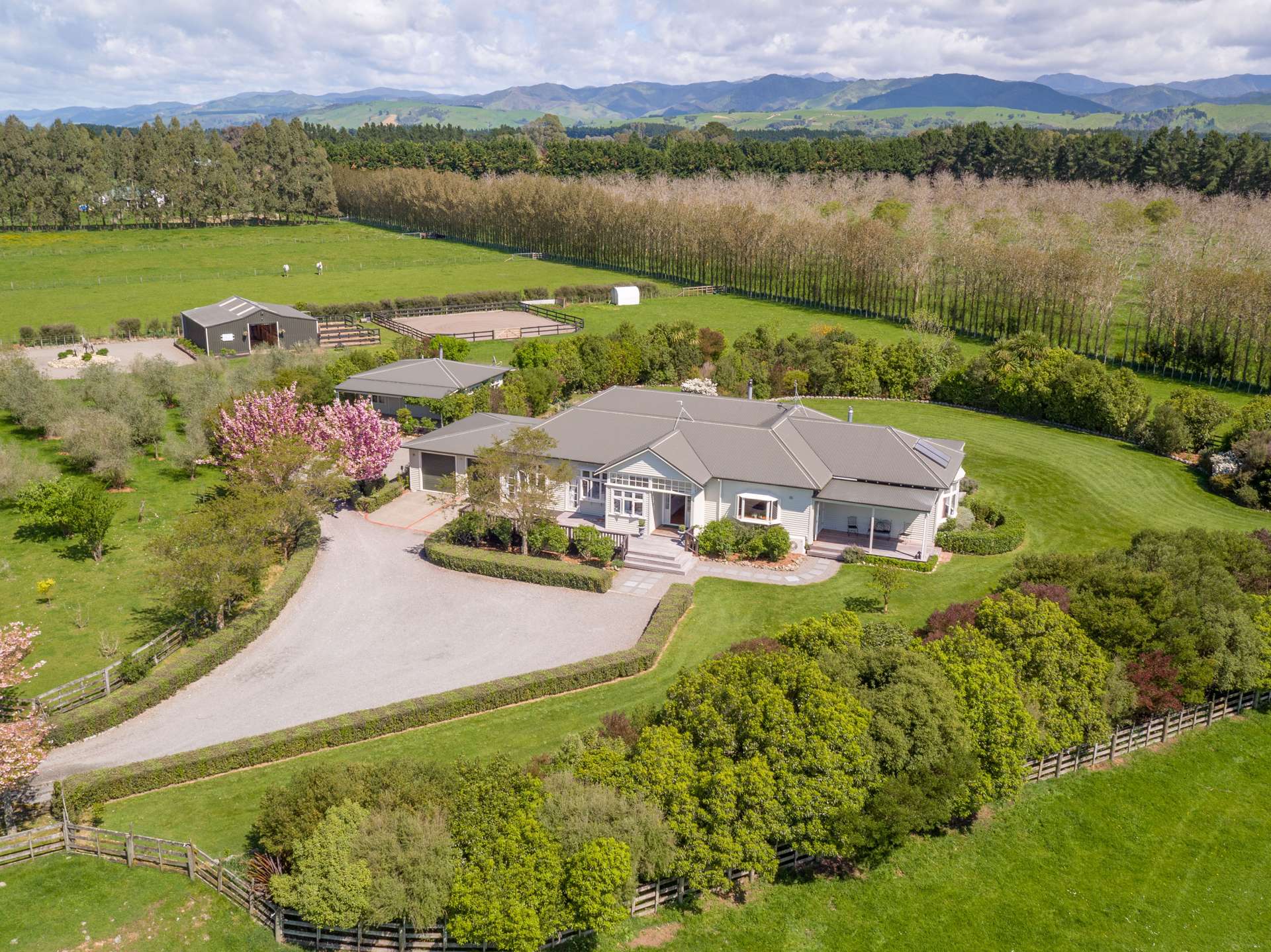 228c Norfolk Road Carterton_0