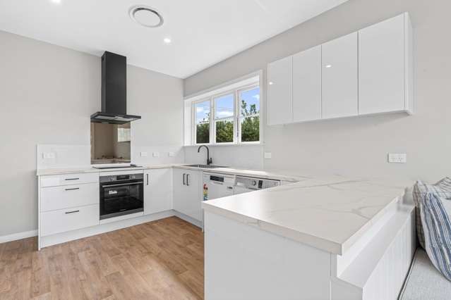 99 Cornwall Street Masterton_2