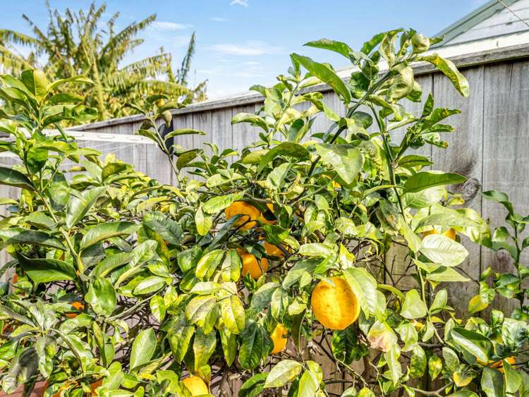 33A Bridge Street Whakatane_18