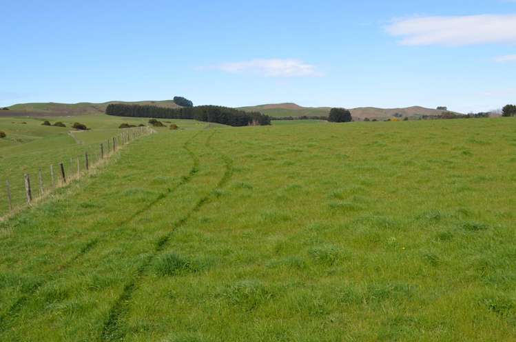 216C Ahiaruhe Road Carterton_7