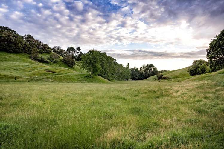 70B and C Withy Road_3