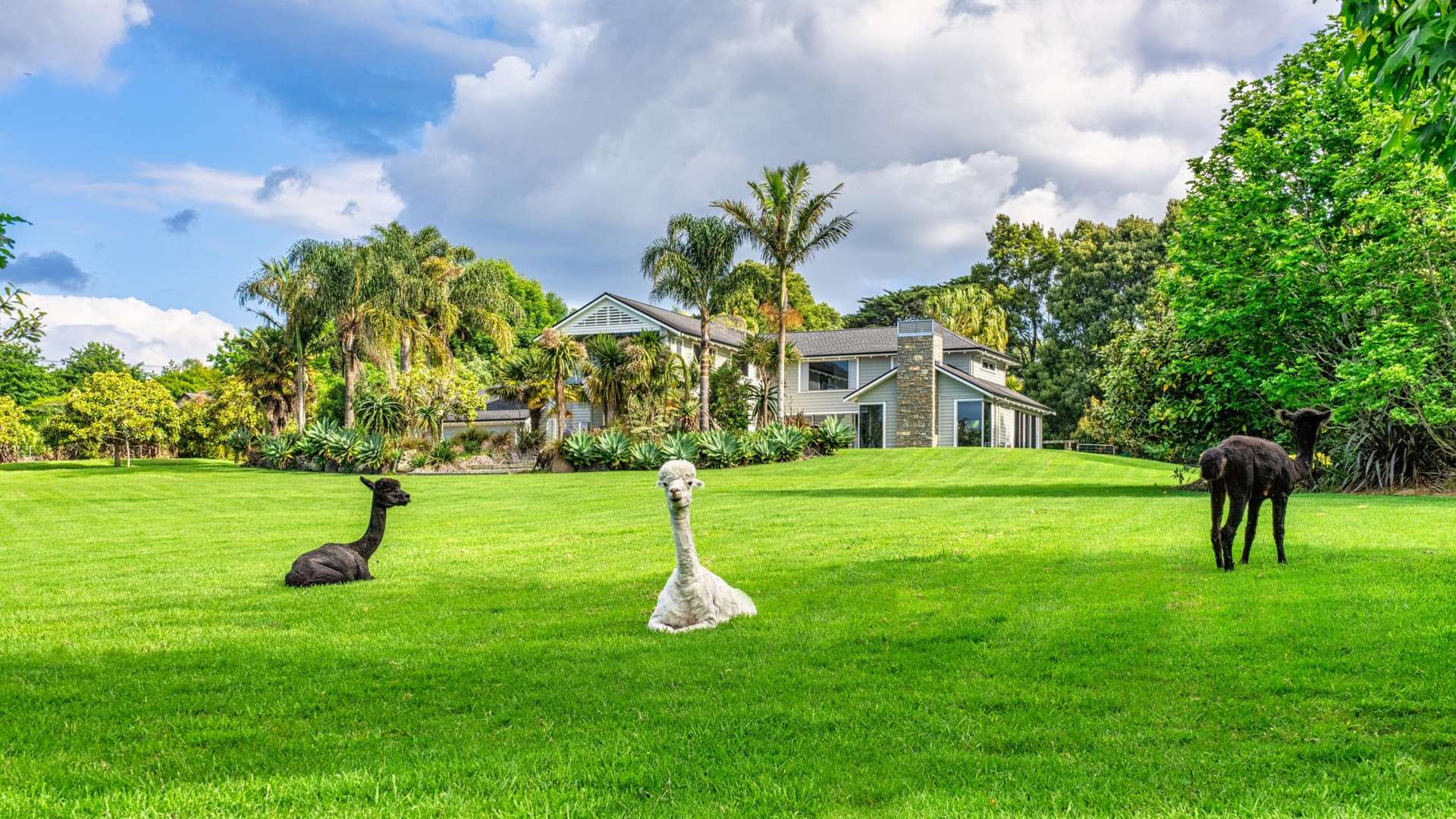 851 Ridge Road Riverhead_0