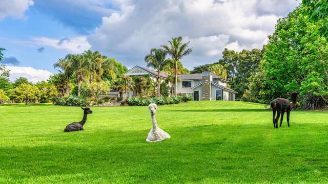 Hamptons Haven: Luxury Living on Four Acres