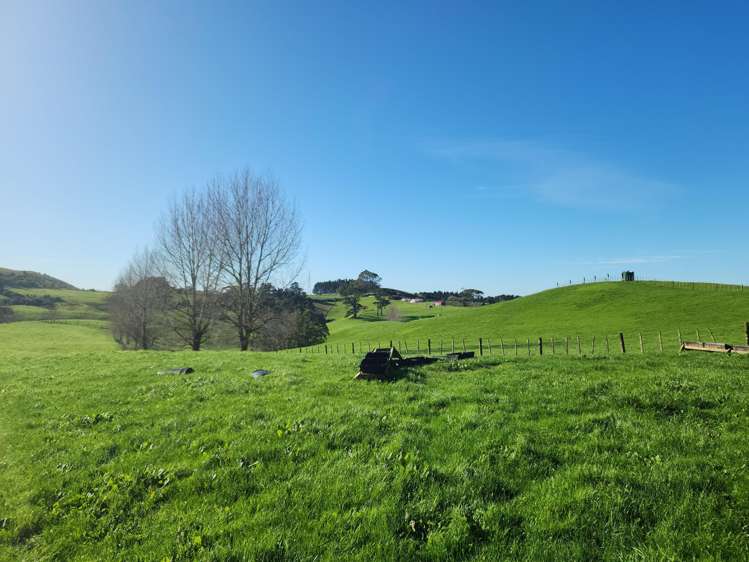 336 Dominion Road Tuakau_10