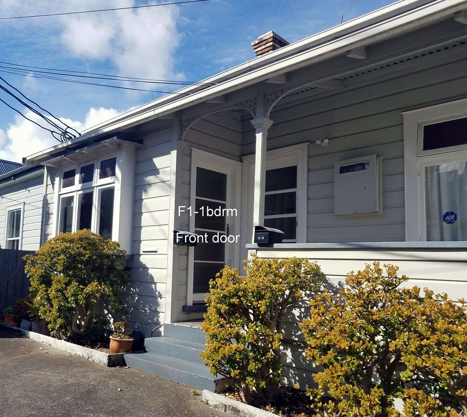 5 Partridge Street Grey Lynn_0