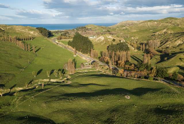 3340 Pourerere Road Central Hawkes Bay Coastal_3