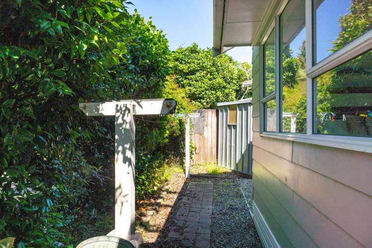 205 Annesbrook Drive Wakatu_15