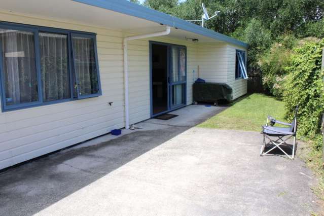 12a Wilson Street Hamilton East_2