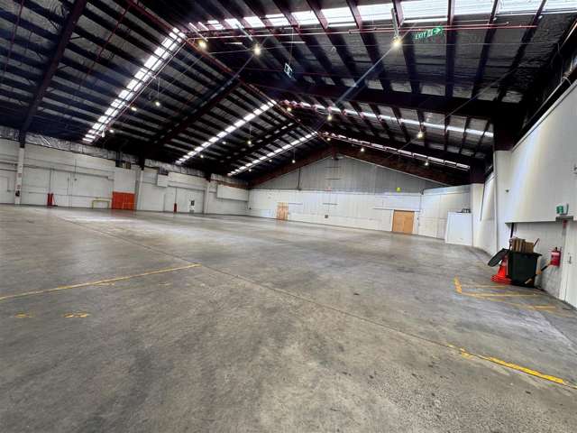 50 East Street Petone_4