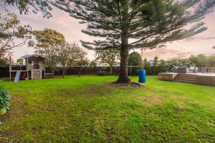 41 Rewarewa Road Te Atatu Peninsula_6