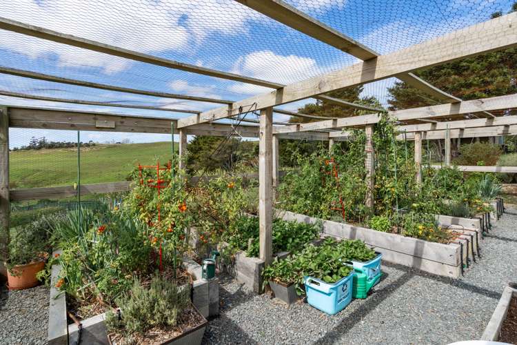 37 Cotton Lane Mangawhai_28