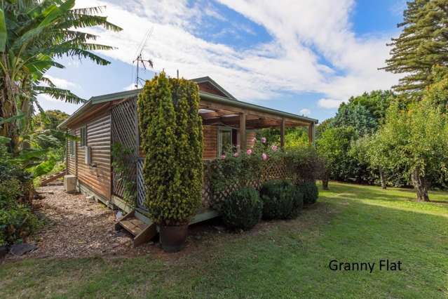 320 Snodgrass Road Te Puna_2