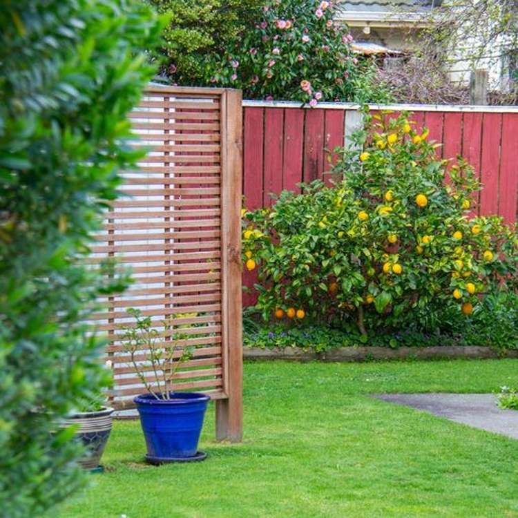 4 Cooper Street Lansdowne_10