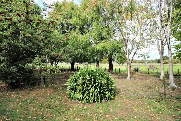 11 Pinfold Road Woodville_16