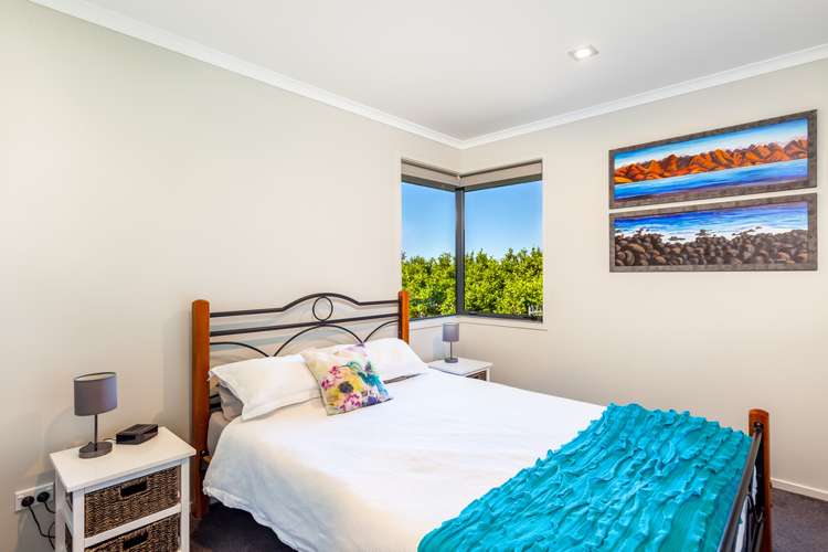 39 Roberta Crescent Orewa_9