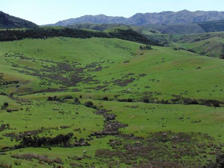 1685 Okuku Pass Road Okuku Range_11