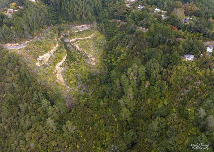 173 Blue Mountains Road Blue Mountains_8