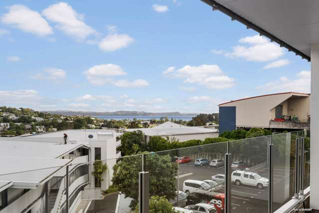 319/17 Link Crescent Stanmore Bay_3