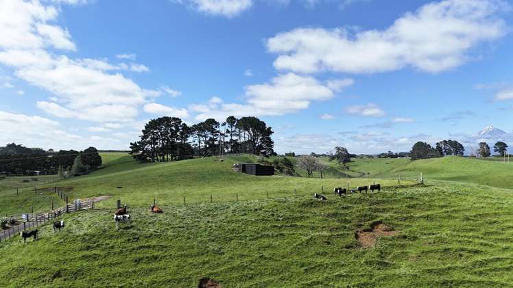 75d Bishop Road Hillsborough_12