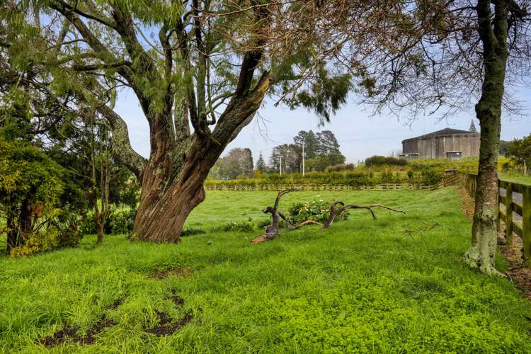 295d Henwood Road Hillsborough_33