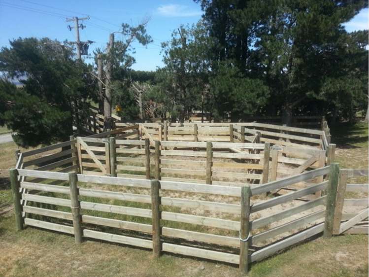 279 Mound Road Broomfield_13