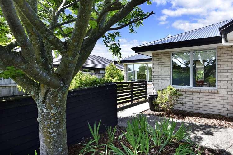 15 Wanderers Avenue Brightwater_18