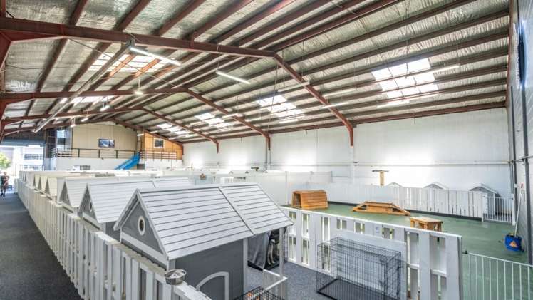 211-213 Waltham Road Sydenham_25