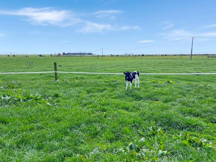 329 Kaituna Road Paengaroa_28