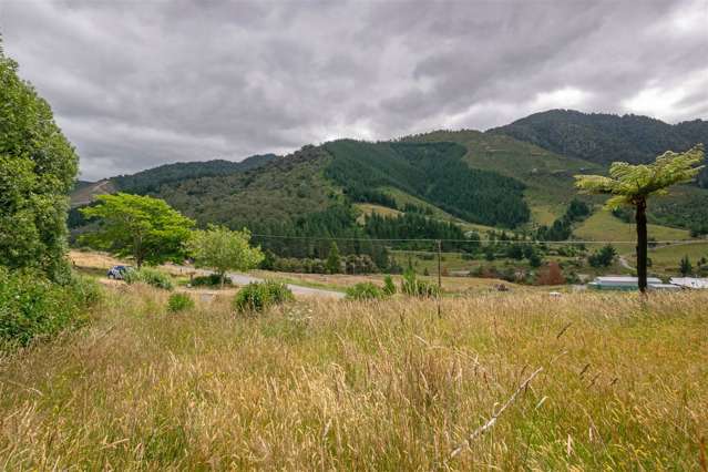 Wakamarina Road Havelock_1