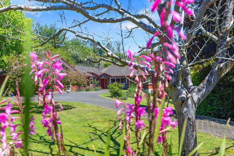 210 Crawford Road Te Puna_15