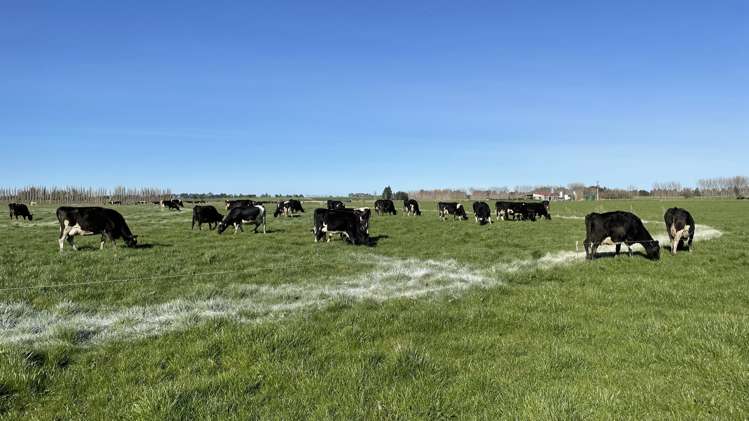 232 Lower Scotts Gap Road Otautau_4