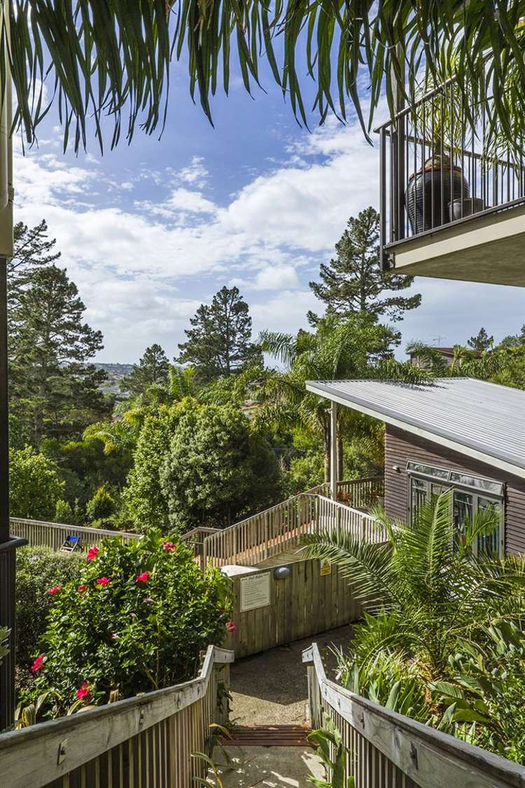 A203/525 East Coast Road Browns Bay_17