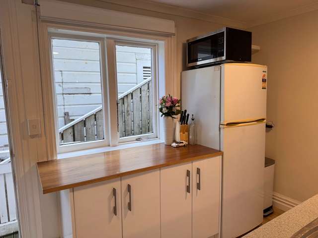 3B McKenzie Terrace Te Aro_3