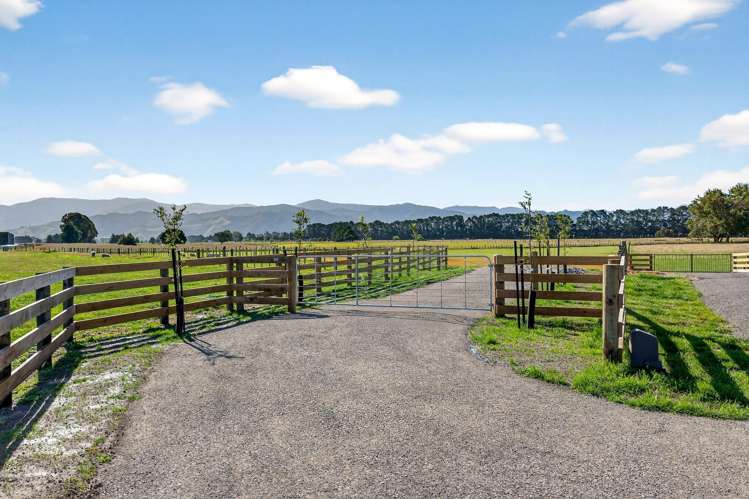 Lot 2, 36A Spencer Lane Greytown_6