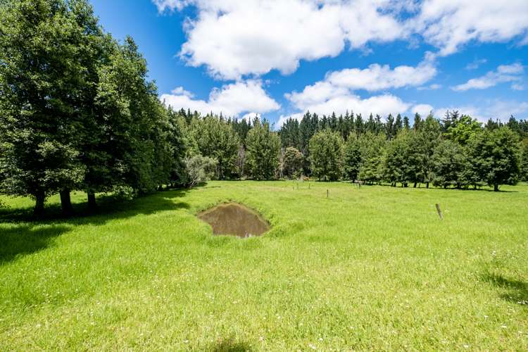 605 Takahue Road Takahue_29